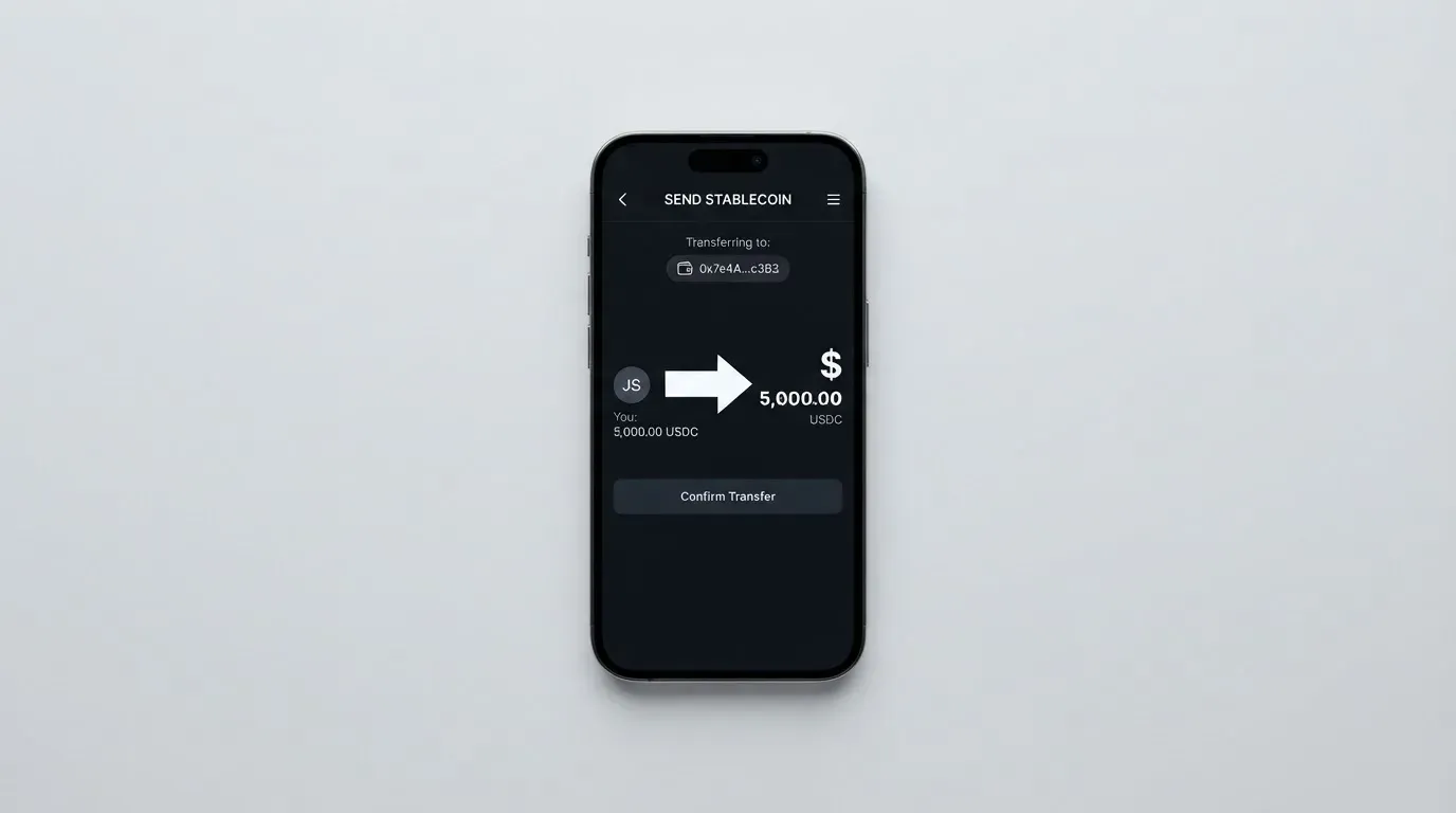 A phone showing a stablecoin transfer screen